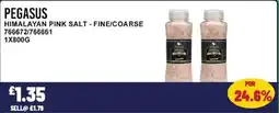 Bestway PEGASUS Himalayan pink salt - fine/coarse offer