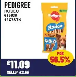 Bestway PEDIGREE Rodeo offer