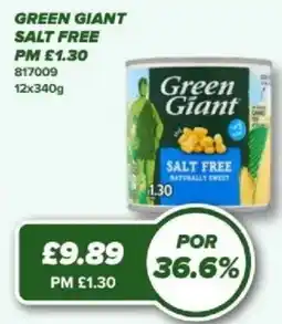 Bestway GREEN GIANT Salt free offer