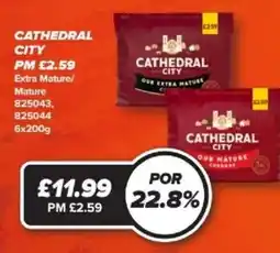 Bestway CATHEDRAL CITY Extra Mature/Mature offer