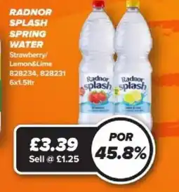 Bestway RADNOR Splash spring water offer