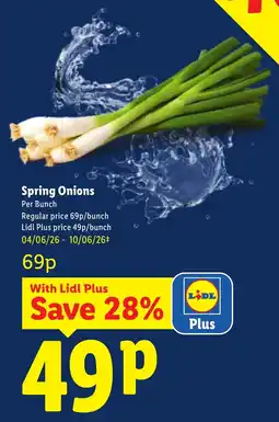 Lidl Spring Onions offer