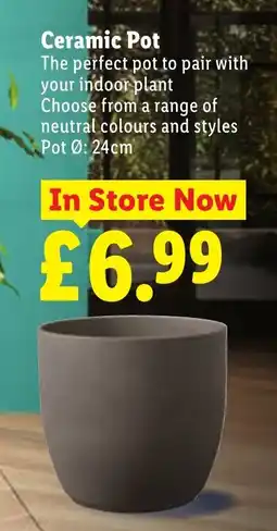Lidl Ceramic Pot offer