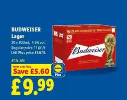Lidl Budweiser Lager offer