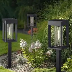 Costco Naturally Solar Pathway Lights - 4 Pack offer