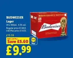Lidl Budweiser Lager offer