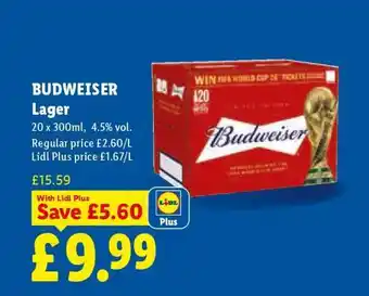 Budweiser Lager