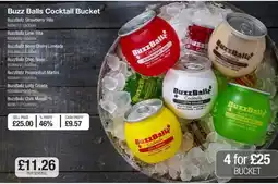 Makro Buzz Balls Cocktail Bucket offer
