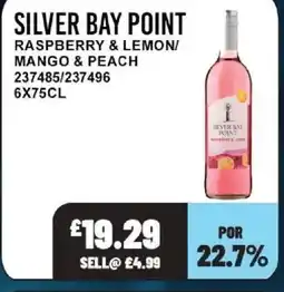 Bestway SILVER BAY POINT Raspberry & lemon/ mango & peach offer