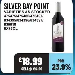 Bestway SILVER BAY POINT offer