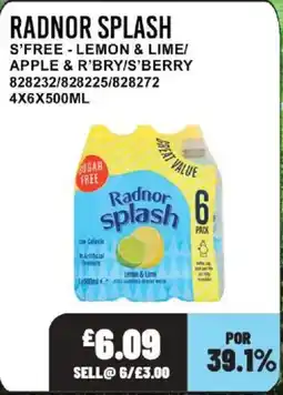 Bestway RADNOR SPLASH S'free - lemon & lime/ apple & r'bry/s'berry offer
