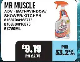 Bestway MR MUSCLE Adv - bath/window/shower/kitchen offer