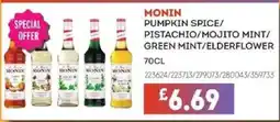 Bestway MONIN Pumpkin spice/ pistachio/mojito mint/ green mint/elderflower offer