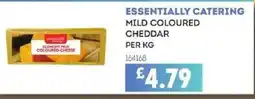 Bestway ESSENTIALLY CATERING Mild coloured cheddar offer