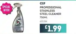 Bestway CIF Professional stainless steel cleaner offer