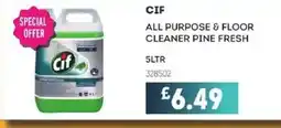 Bestway CIF All purpose & floor cleaner pine fresh offer
