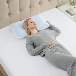 Costco Sleep Renew Cooling Memory Foam Pillow offer