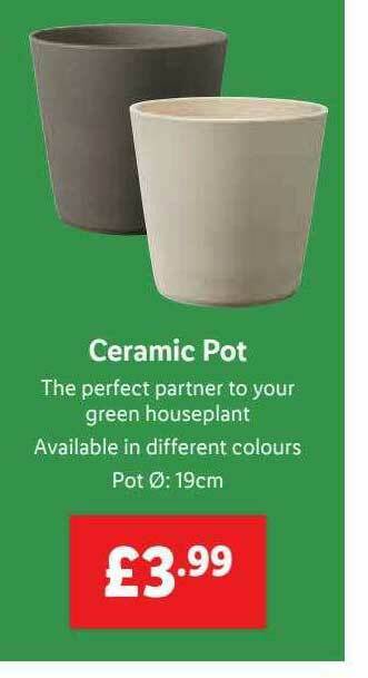 Lidl Ceramic Pot offer