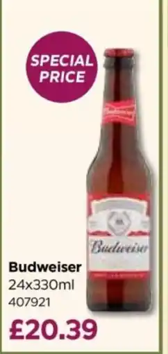 Bestway Budweiser offer