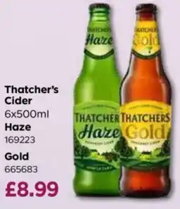 Bestway Thatcher's Cider offer