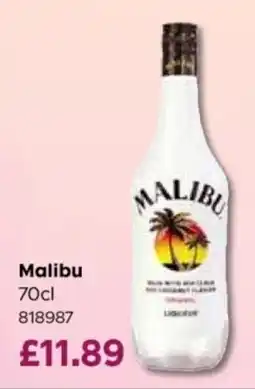 Bestway Malibu offer