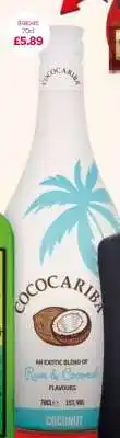 Bestway Cococariba offer