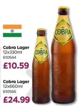 Bestway Cobra Lager 12x330ml offer