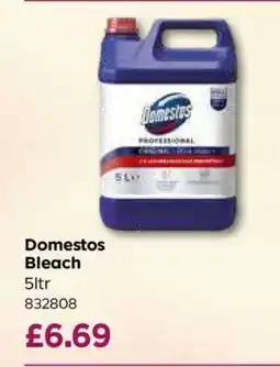 Bestway Domestos Bleach offer