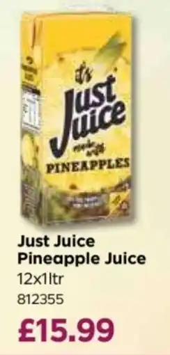 Bestway Just Juice Pineapple Juice offer