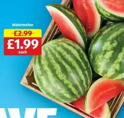 Aldi Watermelon offer
