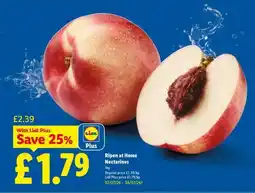 Lidl Ripen at Home Nectarines offer