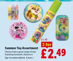 Lidl Summer Toy Assortment offer