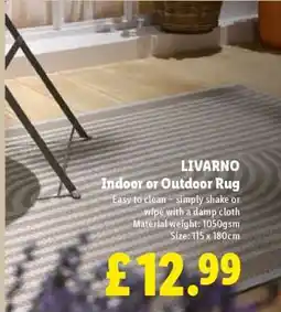 Lidl LIVARNO Indoor or Outdoor Rug offer
