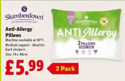 Lidl Slumberdown Anti Allergy Pillows offer