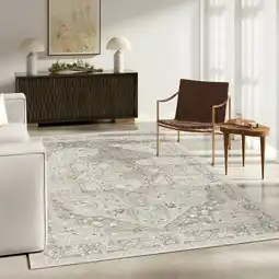 Costco Gertmenian Sasha Area Rug in 4 Designs, 200 x 274 cm offer