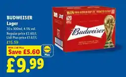 Lidl Budweiser Lager offer