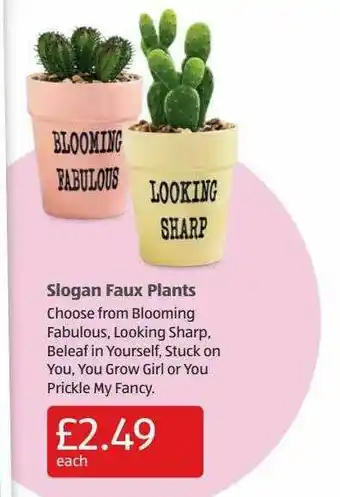 Aldi Slogan Faux Plants offer