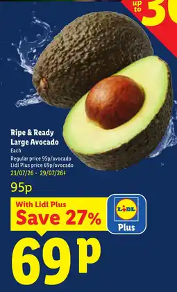 Lidl Large Avocado offer