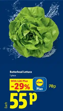 Lidl Butterhead Lettuce offer