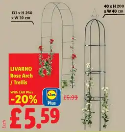 Lidl Rose Arch / Trellis offer