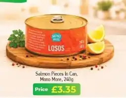 MyMINIMIX Mono More salmon pieces in can offer