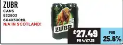 Bestway Zubr cans offer