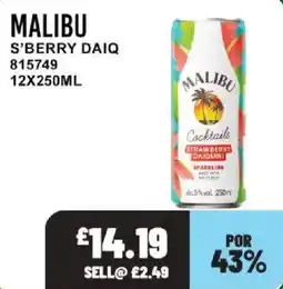 Bestway Malibu s'berry daiq offer