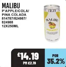 Bestway Malibu pineapple offer