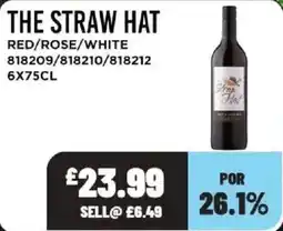 Bestway The straw hat offer