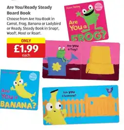 Aldi Are You/Ready Steady Board Book offer