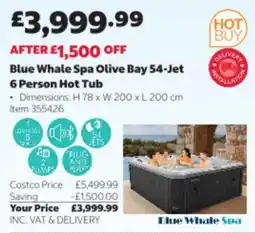 Costco Blue Whale Spa Olive Bay 54-Jet 6 Person Hot Tub offer