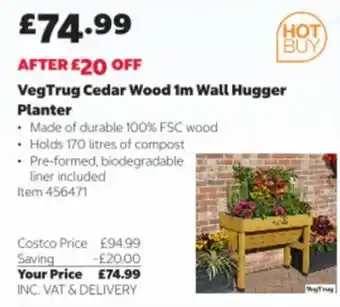 VegTrug Cedar Wood 1m Wall Hugger Planter