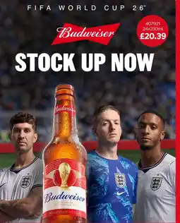 Bestway Budweiser offer