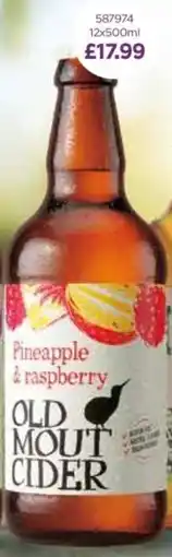 Bestway Pineapple & raspberry offer